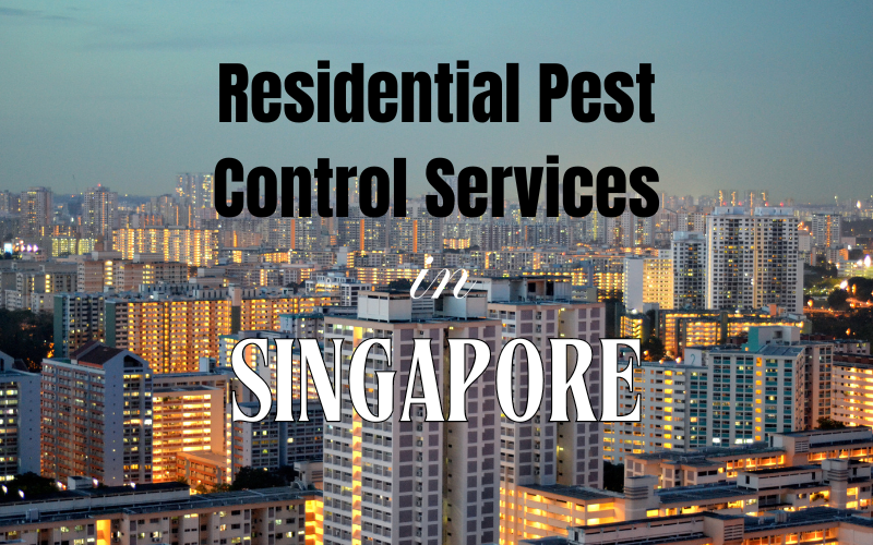 Comprehensive Guide to Residential Pest Control Services in Singapore
