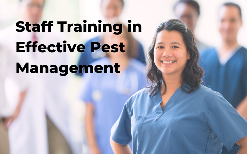 The Role of Staff Training in Effective Pest Management for Businesses