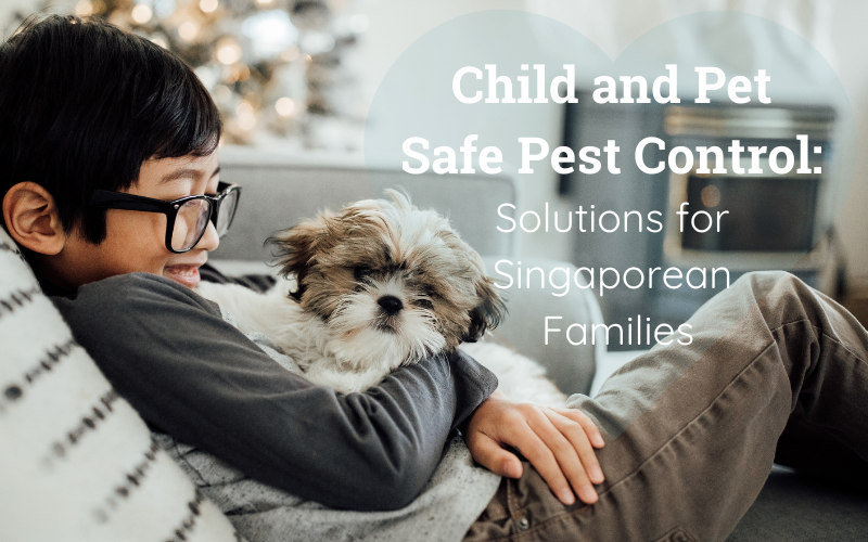 Child and Pet Safe Pest Control: Solutions for Singaporean Families