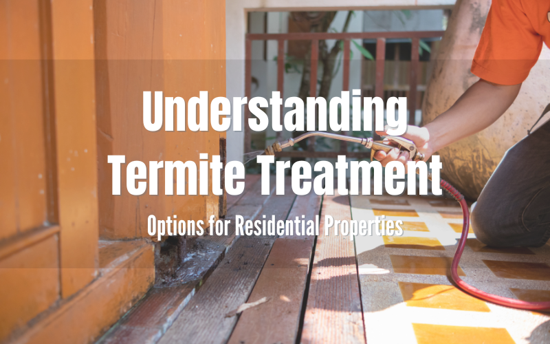 Understanding Termite Treatment Options for Residential Properties