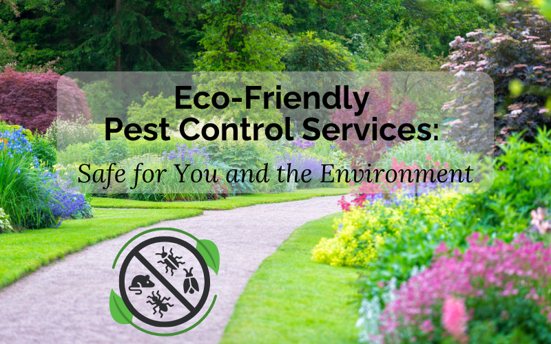 Eco-Friendly Pest Control Services: Safe for You and the Environment