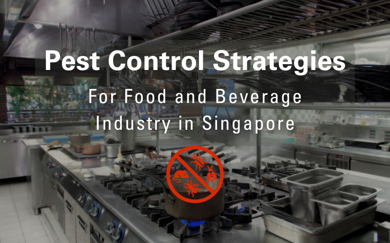 Pest Control Strategies for the Food and Beverage Industry in Singapore