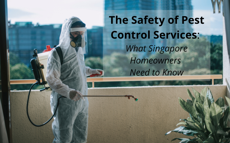 The Safety of Pest Control Services: What Singapore Homeowners Need to Know